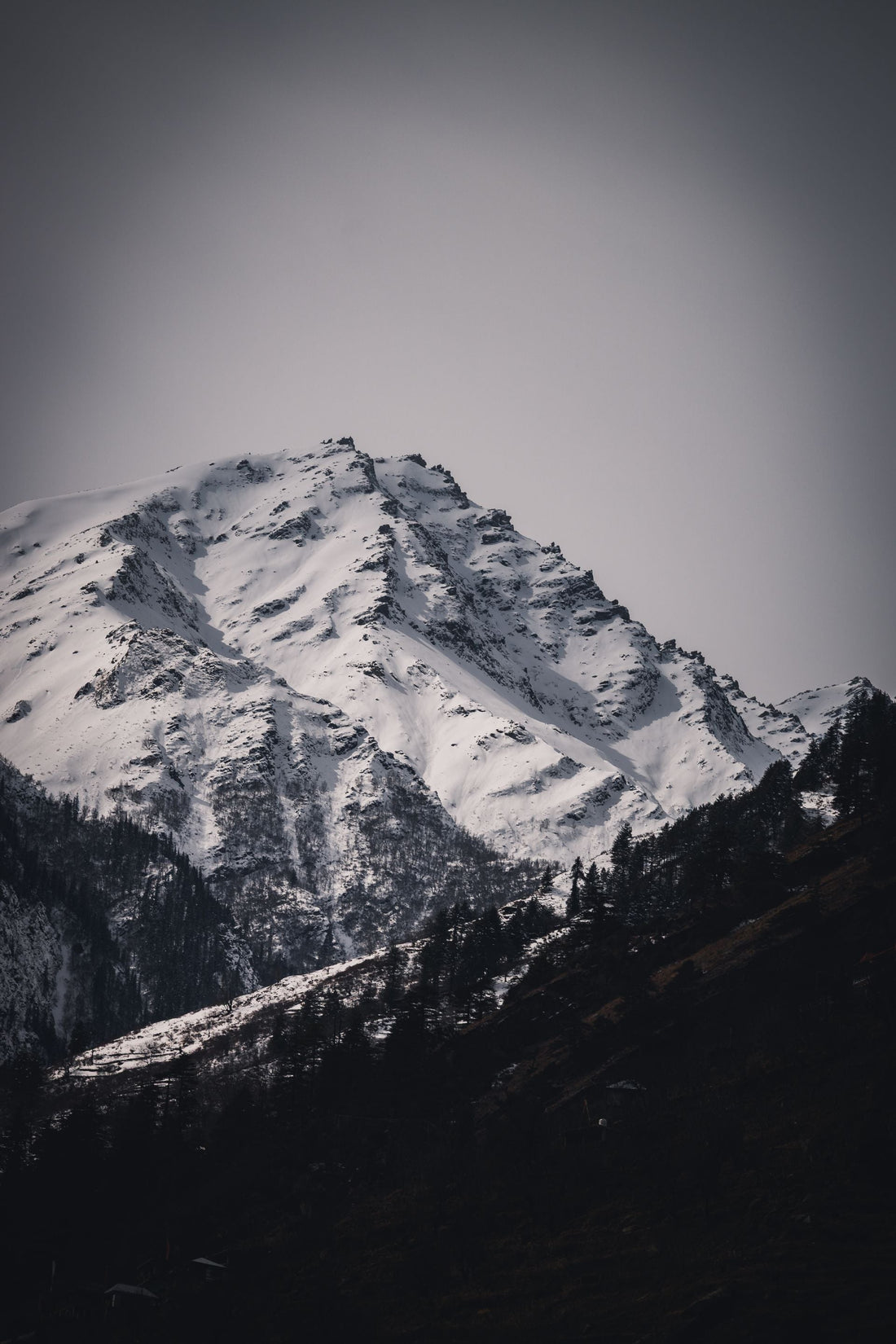Snow-capped Himalayan peak at dawn — shilajit's ancient homeland