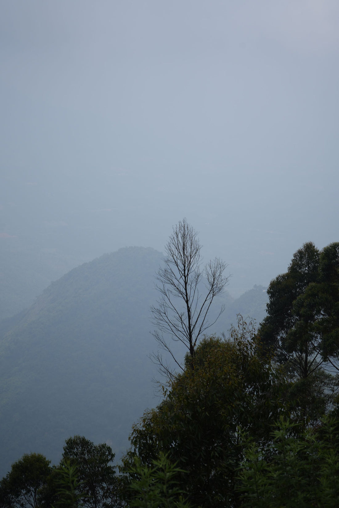 Serene misty mountains at dawn — calm and grounding