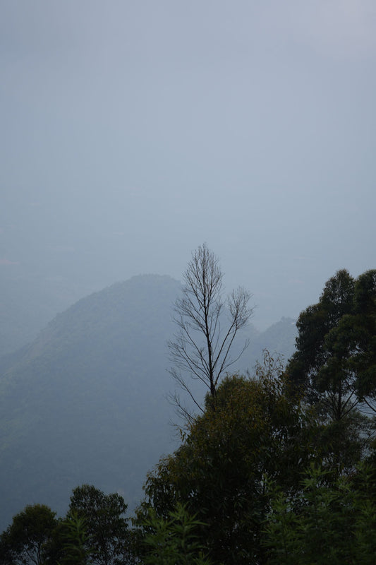 Serene misty mountains at dawn — calm and grounding