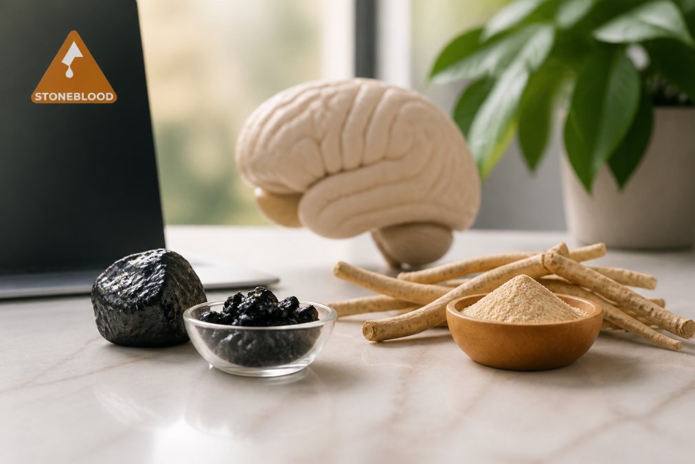 Shilajit vs Ashwagandha for Mental Clarity: 2026 Guide