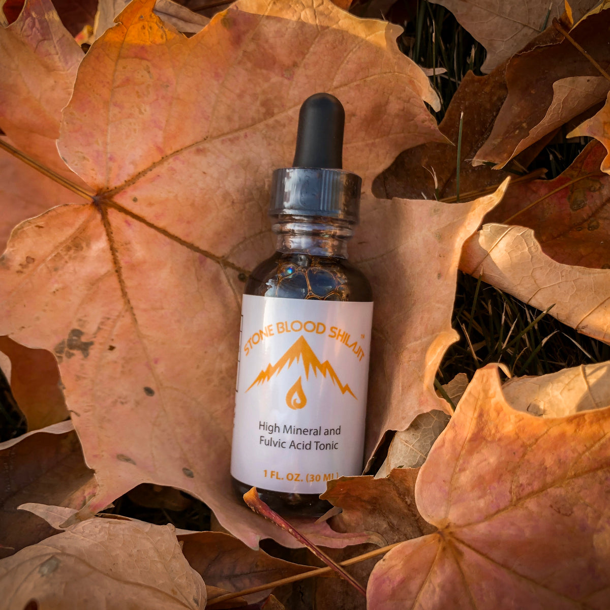 Stoneblood Shilajit dropper bottle on autumn leaves