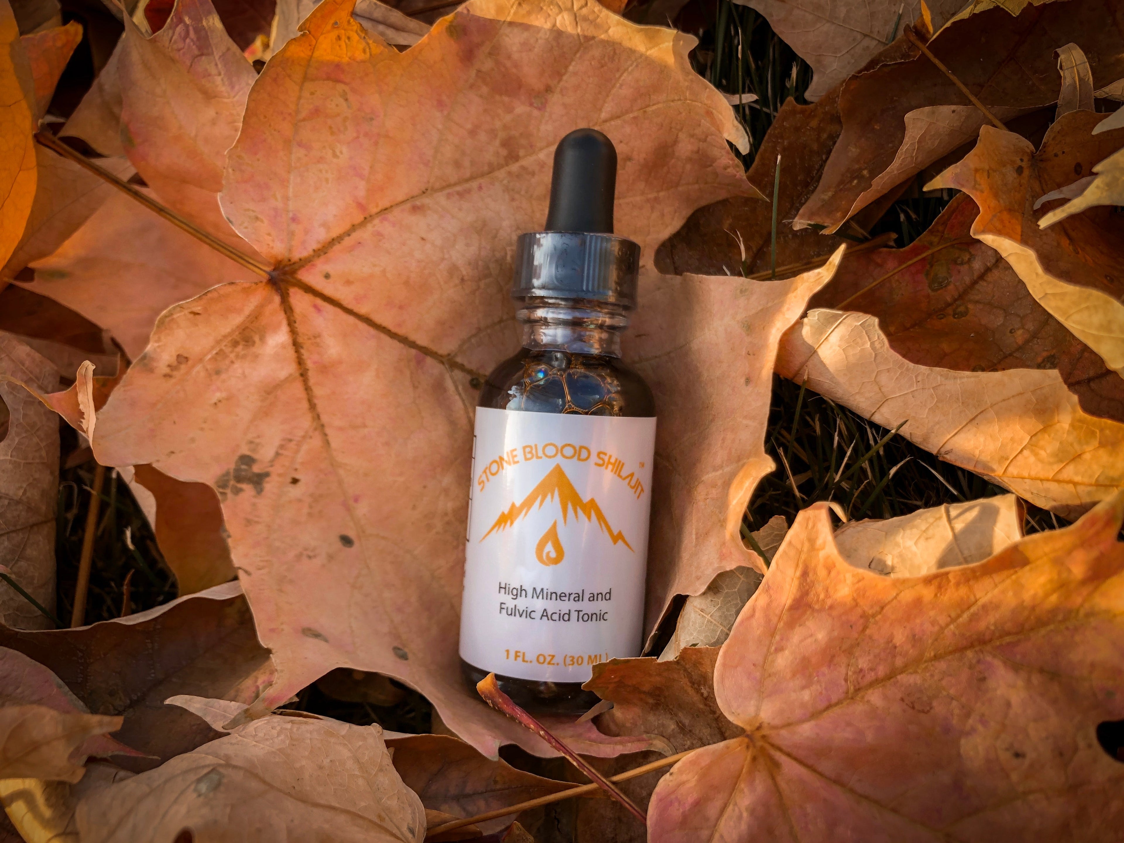 Stoneblood Shilajit dropper bottle on autumn leaves